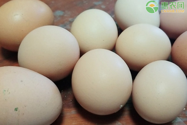 近期市场鸡蛋多少钱一斤？